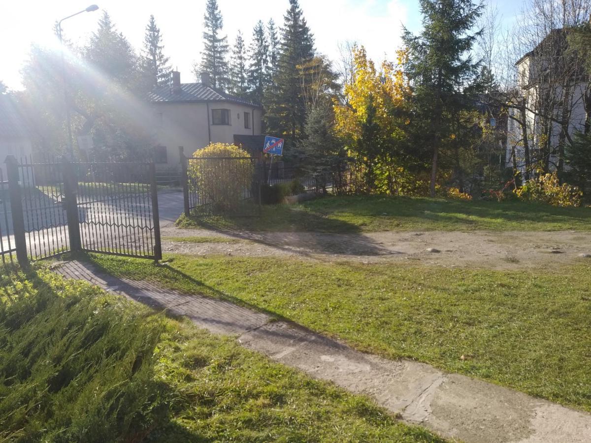 Pokoje U Tadeusza Zakopane Ngoại thất bức ảnh