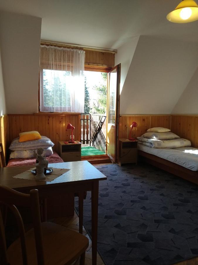 Pokoje U Tadeusza Zakopane Ngoại thất bức ảnh